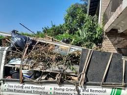 Best Yard Waste Removal in Goldsby, OK